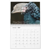 Vögel der Welt Kalender (Jan 2027)