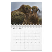 Vögel der Welt Kalender (Feb 2026)