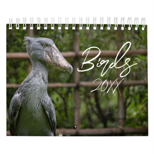Vögel der Welt Kalender (Titelbild)