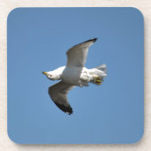 Vögel der World Wildlife Collection Getränkeuntersetzer (Vorderseite)