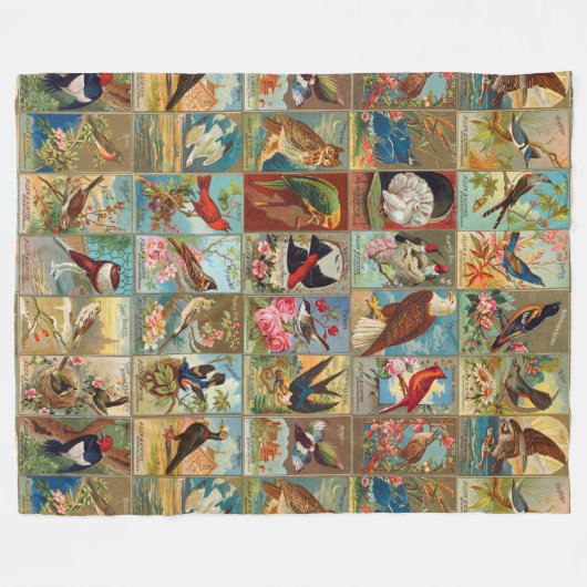 Vögel des 19. Jahrhundertsvon Fleecedecke (Vorderseite (Horizontal))