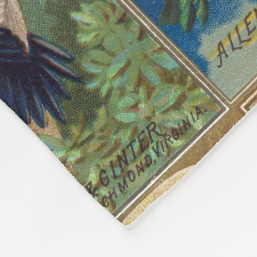 Vögel des 19. Jahrhundertsvon Fleecedecke (Ecke)