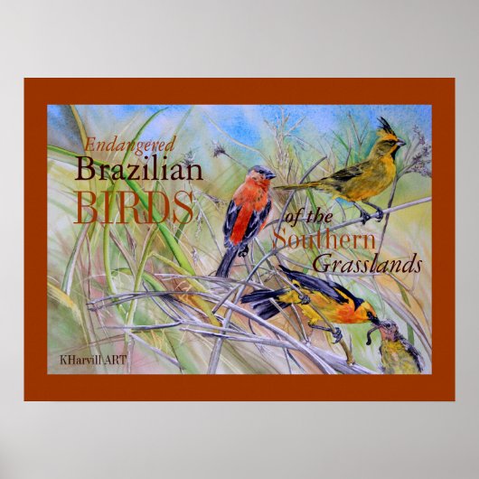 Vögel des brasilianischen Grasslands-Kunsthandwerk Poster (Vorne)