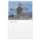 Vögel des Galapagos-Kalenders Kalender (Feb 2026)