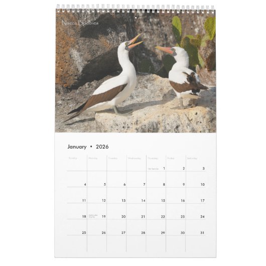 Vögel des Galapagos-Kalenders Kalender (Jan 2026)