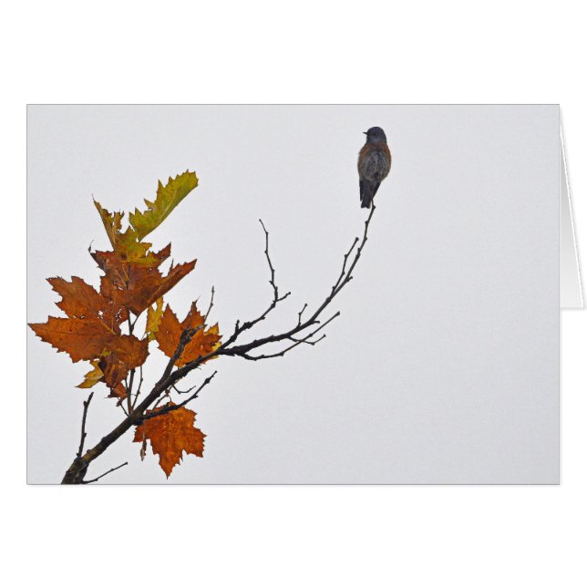 Vogel des Herbstes (Vorderseite (Horizontal))