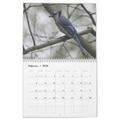 Vögel des Kalenders Ost-Vereinigte Staaten Kalender (Feb 2026)