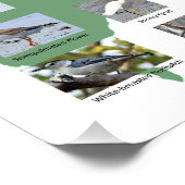 Vögel des Maine Poster (Ecke)