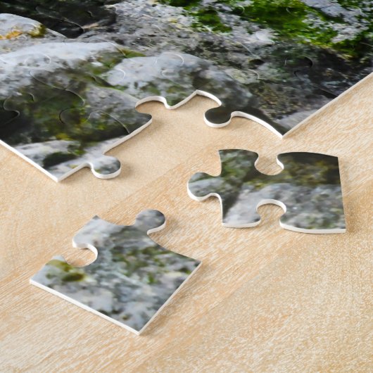 Vögel des Meeres. Puzzle (Seite)