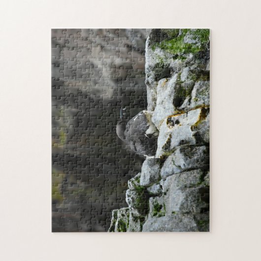 Vögel des Meeres. Puzzle (Vertikal)