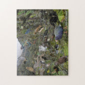 Vögel des neuseeländischen Puzzles (Vertikal)