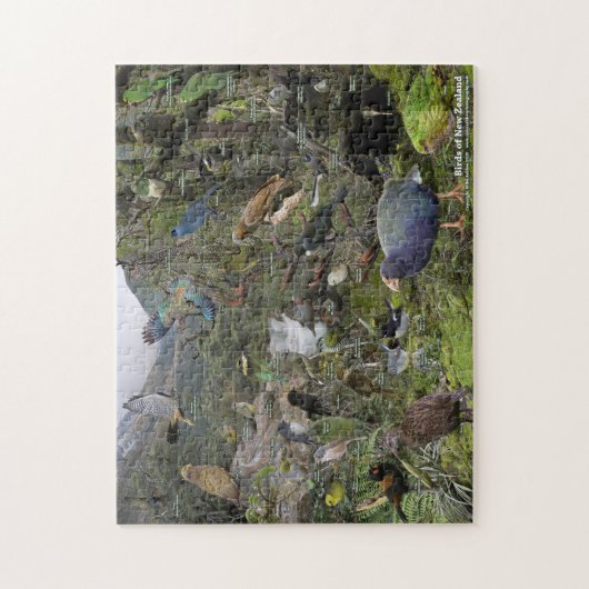 Vögel des neuseeländischen Puzzles (Vertikal)