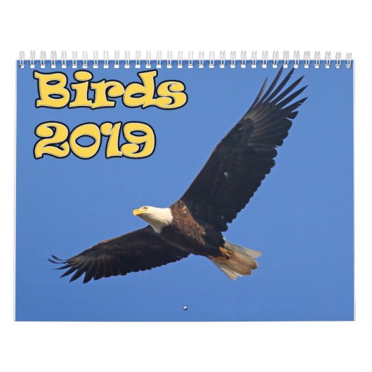 Vögel des Nordostens Kalender (Titelbild)