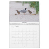 Vögel des Nordostens Kalender (Mär 2027)