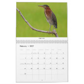 Vögel des Nordostens Kalender (Feb 2027)