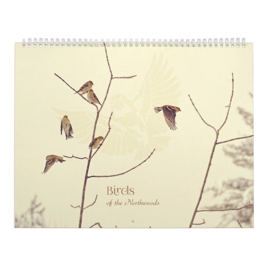 Vögel des Northwoods Kalenders Kalender (Titelbild)