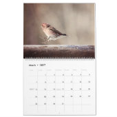 Vögel des Northwoods Kalenders Kalender (Mär 2027)