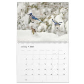 Vögel des Northwoods Kalenders Kalender (Jan 2027)