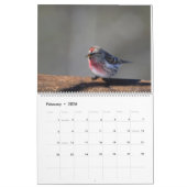Vögel des Northwoods Kalenders Kalender (Feb 2026)