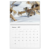 Vögel des Ohio-Wandkalenders Kalender (Feb 2027)