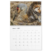Vögel des Ohio-Wandkalenders Kalender (Mär 2027)