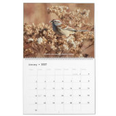 Vögel des Ohio-Wandkalenders Kalender (Jan 2027)