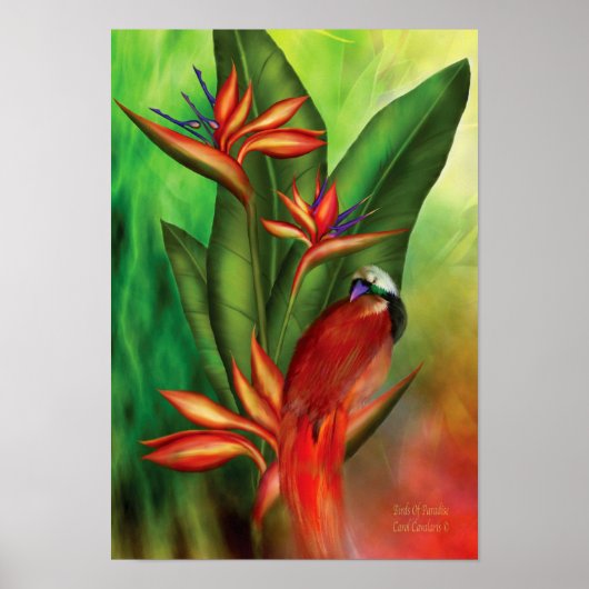 Vögel des Paradieses Art Poster/Print Poster (Vorne)