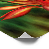Vögel des Paradieses Art Poster/Print Poster (Ecke)