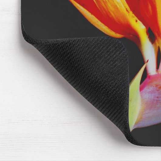 Vogel des Paradieses Mousepad (Ecke)