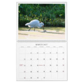 Vögel des Paradieskalenders Kalender (Mär 2027)