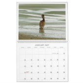 Vögel des Paradieskalenders Kalender (Jan 2027)