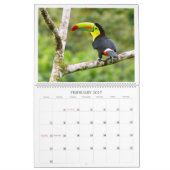 Vögel des Paradieskalenders Kalender (Feb 2027)