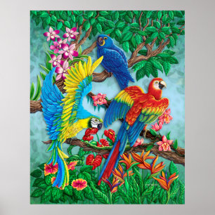 Vögel des Paradise Poster