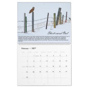Vögel des Prey Calendar Kalender (Feb 2027)