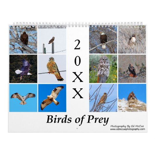 Vögel des Prey Calendar Kalender (Titelbild)
