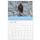 Vögel des Prey Calendar Kalender (Jan 2026)