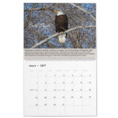 Vögel des Prey Calendar Kalender (Mär 2027)