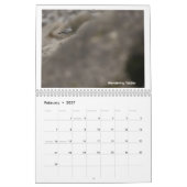 Vögel des südlichen Alaskas und Kanadas Kalender (Feb 2027)