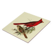 Vögel des Vintagen Roten Kardinals Fliese (Seite)