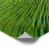 Vögel des Welt-Indianerringhalsfäuls Poster (Ecke)