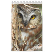 Vögel des Westerns New York Calendar Kalender (Titelbild)