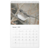 Vögel des Westerns New York Calendar Kalender (Feb 2027)