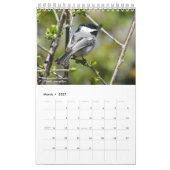 Vögel des Westerns New York Calendar Kalender (Mär 2027)