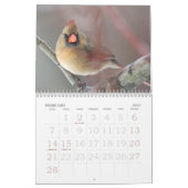 Vögel des Winters Kalender (Feb 2027)
