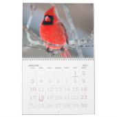 Vögel des Winters Kalender (Jan 2027)