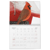 Vögel des Winters Kalender (Mär 2027)
