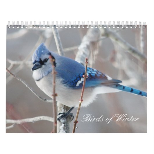 Vögel des Winters Kalender (Titelbild)