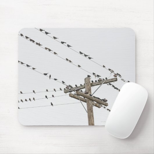 Vögel, die an Drähten befestigt sind Mousepad (Mit Mouse)