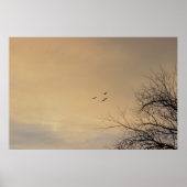 Vögel, die bei Sunset Poster fliegen (Vorne)