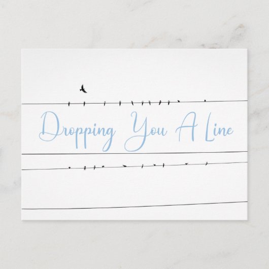 Vögel, die eine Linie fallen lassen, senden eine N Postkarte (Vorderseite)